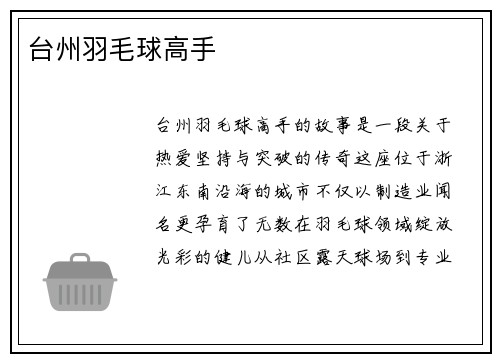 台州羽毛球高手