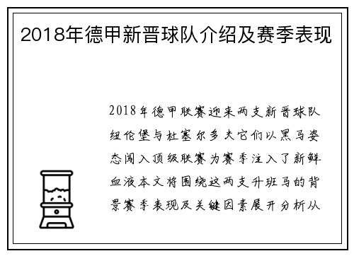 2018年德甲新晋球队介绍及赛季表现